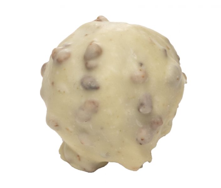 Rocher