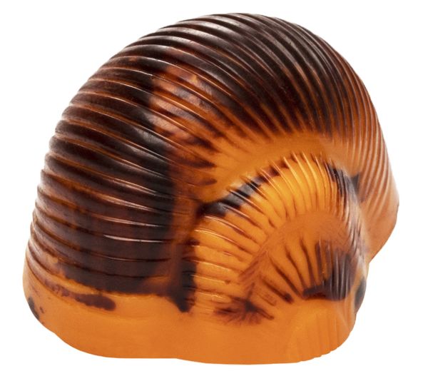 Escargot